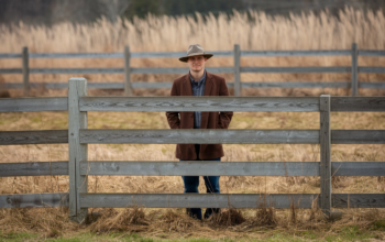 Fence Posts